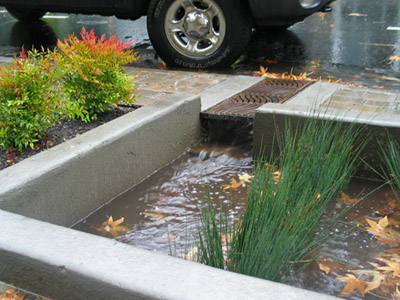 Sidewalk Curb Inlet Cut